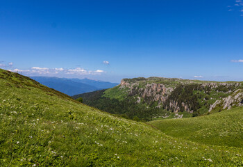 High-altitude meadows with flowers and green vegetation during the summer and autumn seasons