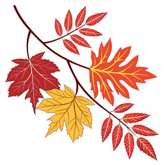 Vector Art Style Autumn Leaves Design Clean Vector