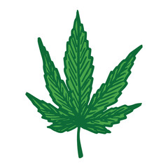 Hand drawn cannabis leaf Medicine marijuana Hemp leaves clipart in doodle style Single element for print, web, design, decor