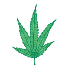 Hand drawn cannabis leaf Medicine marijuana Hemp leaves clipart in doodle style Single element for print, web, design, decor