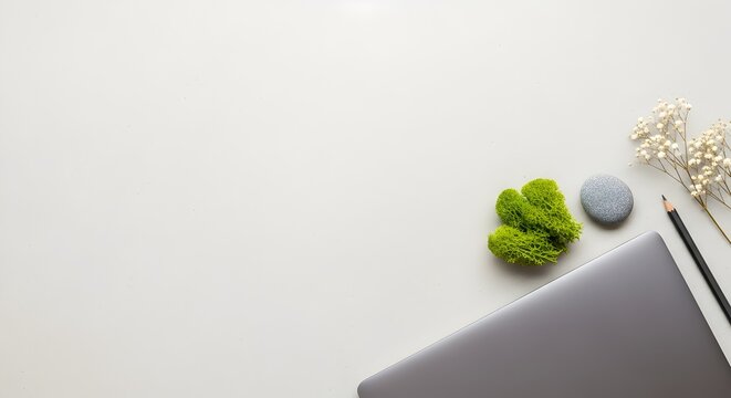 Minimalist workspace flat lay with laptop pencil flowers and moss on white background overhead view