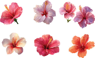 Fototapeta premium set of flowers isolated