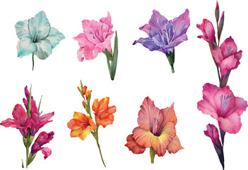 set of colorful flowers