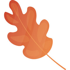 Orange Autumn Oak Leaf Detailed Outline Vector Illustration Autumnal Season Representation With Stem Isolated On Transparent Background