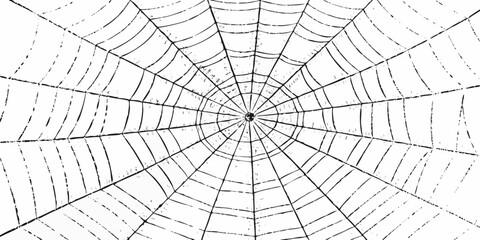 Abstract radial pattern of a black spider web on a white background