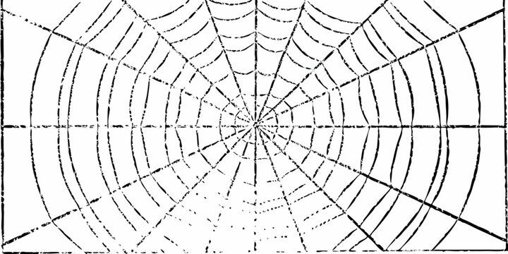 Abstract black and white radial spider web pattern with a textured distressed grunge effect