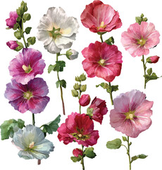 collection of flowers