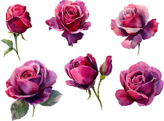 Fototapeta premium bouquet of roses
