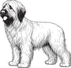 OUTLINE SILHOUETTE DOG FOR COLORING PAGE