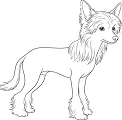OUTLINE SILHOUETTE DOG FOR COLORING PAGE