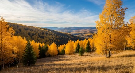 Fototapeta premium autumn in the mountains