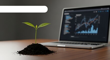 Sustainable Growth: Seedling, Data, and Laptop