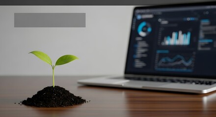 Sustainable Growth: Sprout and Data on Laptop