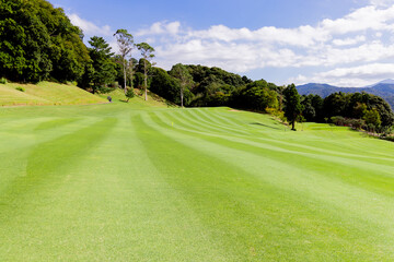 ゴルフ場　ゴルフコース　自然　風景　ゴルフイメージ