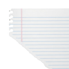 Torn lined notebook paper with spiral binding edge isolated on transparent background