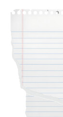 Torn sheet of lined paper with perforated edge isolated on transparent background