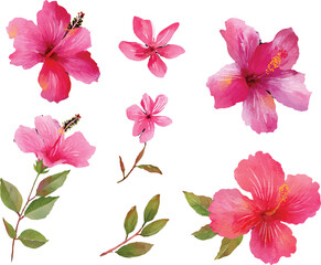 Fototapeta premium set of flowers isolated on white