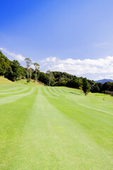 ゴルフ場　ゴルフコース　自然　風景　ゴルフイメージ