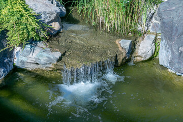 A small waterfall with rocks and plants in a beautiful garden landscape. Magnificent nature.