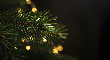 Festive Spruce Branch with Bokeh Lights: A Serene Christmas Holiday Scene