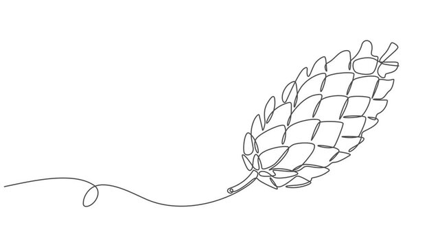 Abstract cedar cone. Self drawing animation one continuous line draw, logo, A single line drawing of a cone. Continuous line fir cone icon. Vector illustration, Full length one line animation. minimal