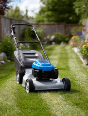 Lawn mower on freshly cut grass in a garden setting.