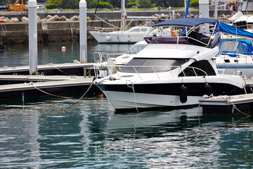 luxury yachts in marina