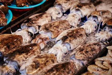 Cuttlefish at the traditional market