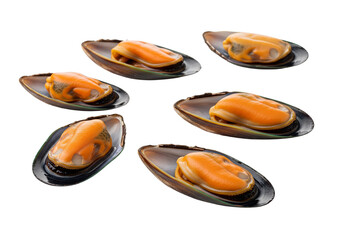  fresh raw mussels with glossy dark shells isolated