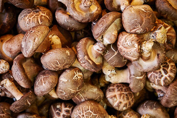 Shiitake mushrooms at the traditional market