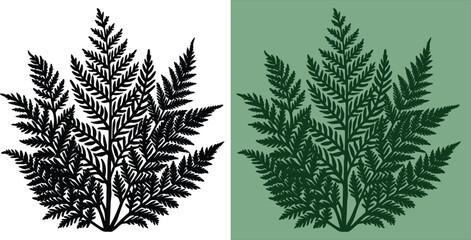 Elegant fern frond botanical illustration in black and green shades against contrasting backgrounds, ideal for nature-inspired designs and invitations © merry