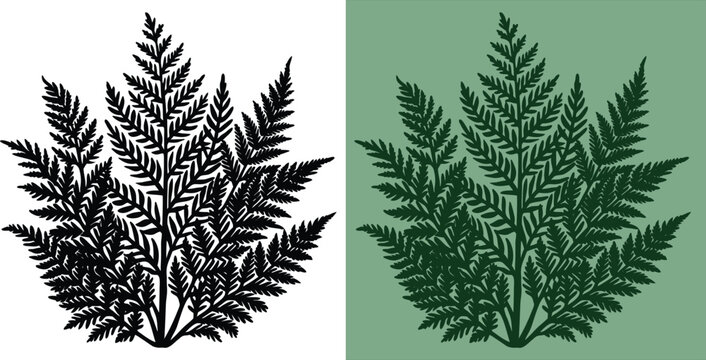 Elegant fern frond botanical illustration in black and green shades against contrasting backgrounds, ideal for nature-inspired designs and invitations