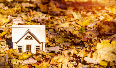 The symbol of the house stands among the fallen autumn leaves
