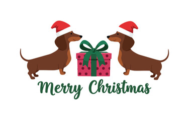 Holiday Season Greeting Dachshunds, Santa Hats, and a Festive Christmas Gift