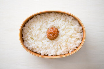 ご飯を詰めた曲げわっぱ