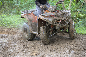 Thrilling off road adventure with person riding quad bike through muddy terrain. An exciting...