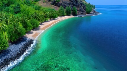 Arial View of a Lush Tropical Island Beach With Turquoise Waters and Dense Green Forest Bordering Rocky Outcrops Under Bright Sunlight