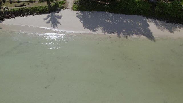 Drone footage of anse la mouche beach, white sandy beach, clam ocean, Mahe, Seychelles 30fps