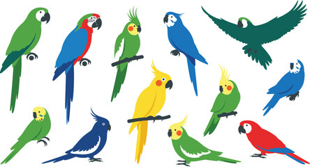 Colorful parrot cartoon set, vector illustration, perched and flying bird poses, tropical species, vibrant feathers, exotic wildlife, playful style, nature theme