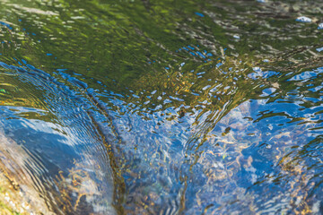 秋の川　秋の日差しで輝く清流の流れ166