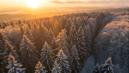Sunrise over a beautiful winter mountain landscape with snow, frozen trees, and a cold sky