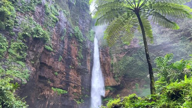 Koban Kapas Biru is a waterfall in the tropical jungles of East Java, descending from a high cliff into a lush green canyon surrounded by tropical forests with vibrant vegetation.Lumajang River. 4К