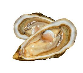 Naklejka premium sea oyster isolated on white