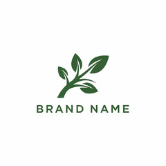 Elegant Green Branch Logo Design with Natural Leaf Elements for Branding.