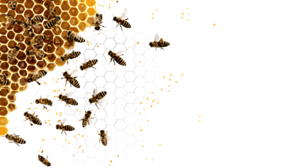 Cute swarm of bees working at bee honeycomb; background with empty space for text