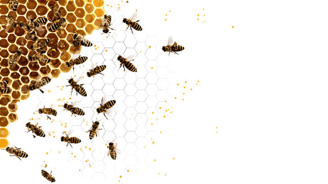 Cute swarm of bees working at bee honeycomb; background with empty space for text