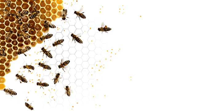 Cute swarm of bees working at bee honeycomb; background with empty space for text