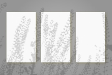 Natural light casts shadows from wildflowers on 3 vertical sheets of white paper lying on a gray background. Mockup