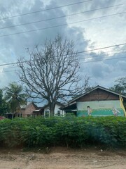 Bare tree in front of a traditional village house under a cloudy sky