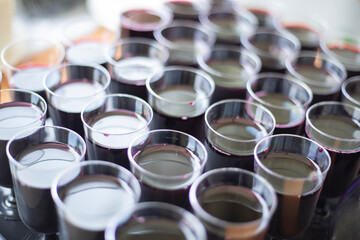 Wine in glasses. The wine glasses are in a row on the table. Drinks for the guests.